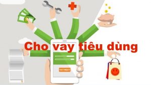 vay tieu dung dtu