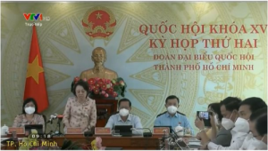 dai bieu