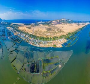 dat quy nhon 1 500x470 1