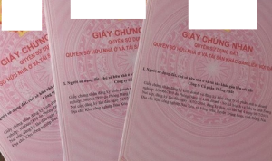so do ho gia dinh