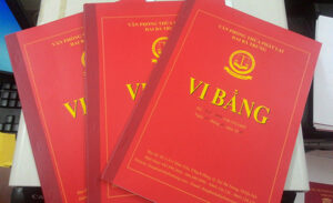 mua ban nha giay tay qua vi bang 2